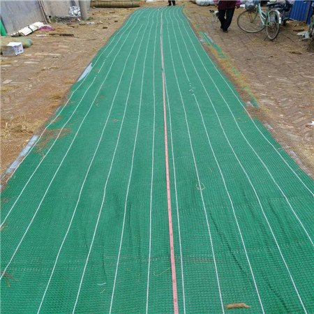 2025年新澳门精准免费大全