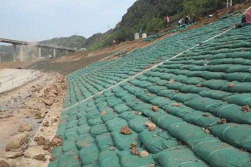 2025年新澳门精准免费大全