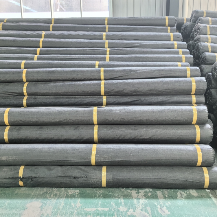 2025年新澳门精准免费大全