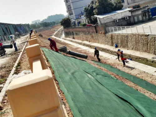 抗冲生物毯护坡工程